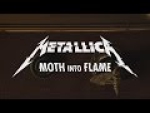 Moth Into Flame